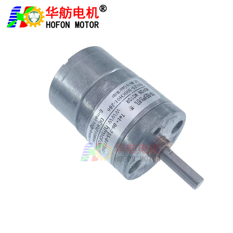 GM25-300CH