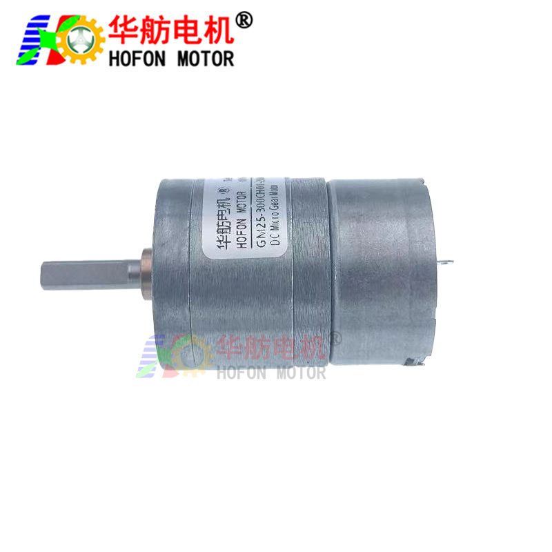 GM25-300CH