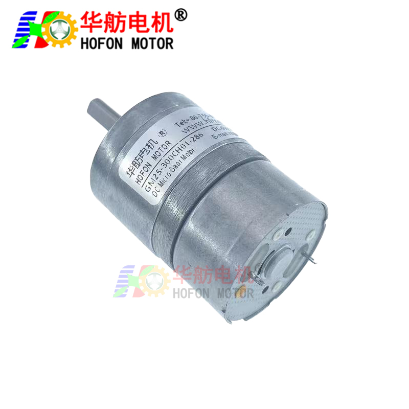 GM25-300CH