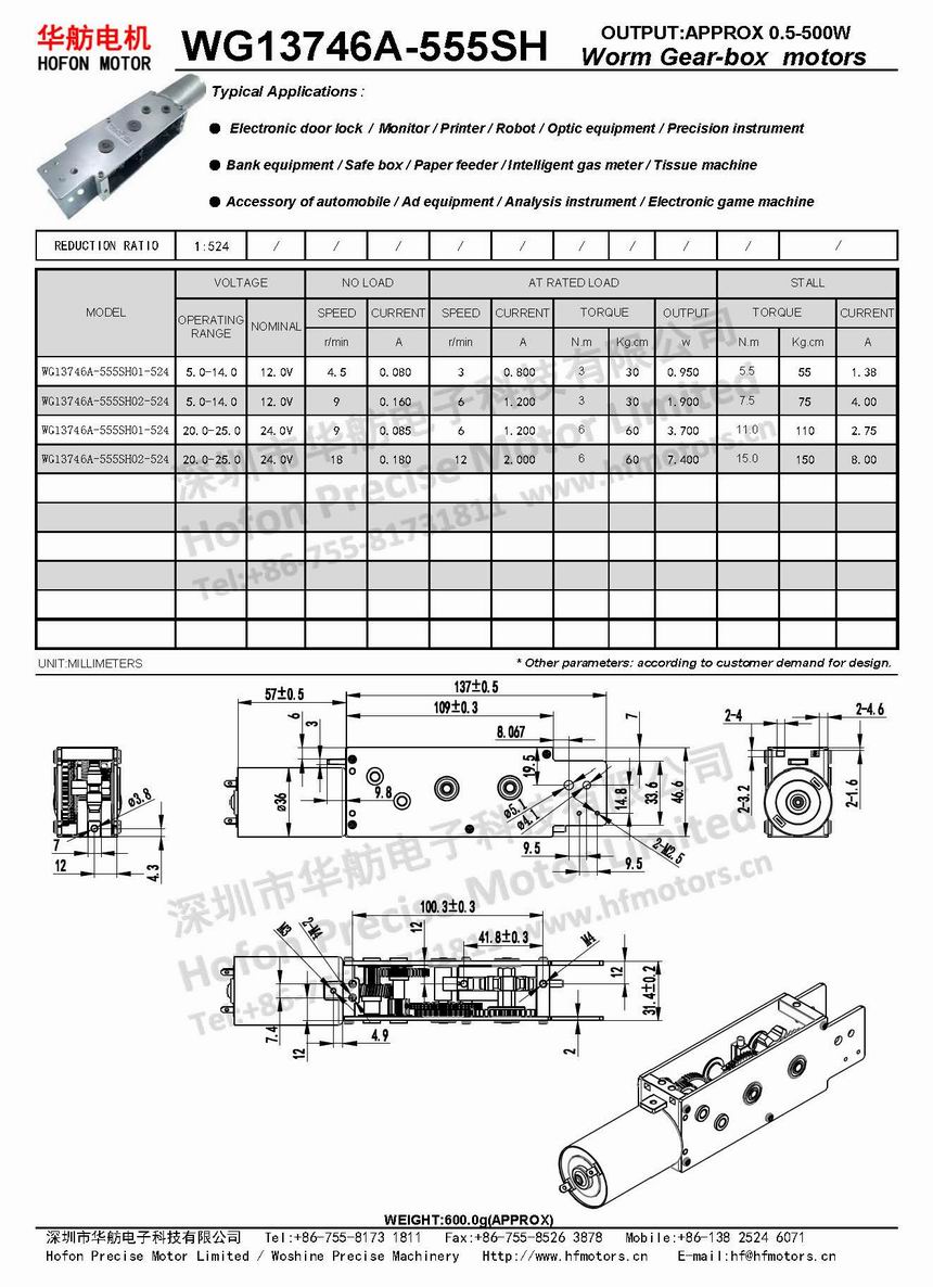 WG13746A-555SH链式电机.jpg